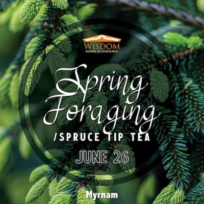 Survival: Spring Foraging/Spruce Tip Tea G - Myrnam